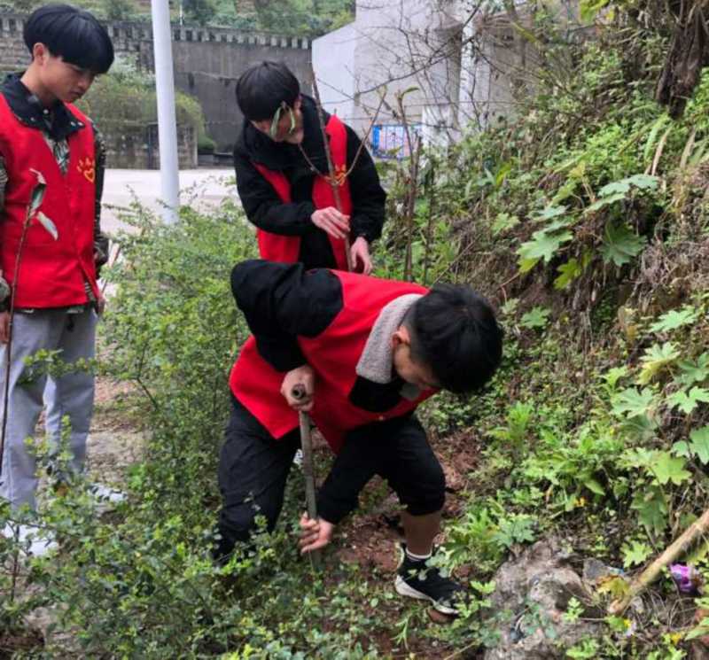 我院师生开展植树活动