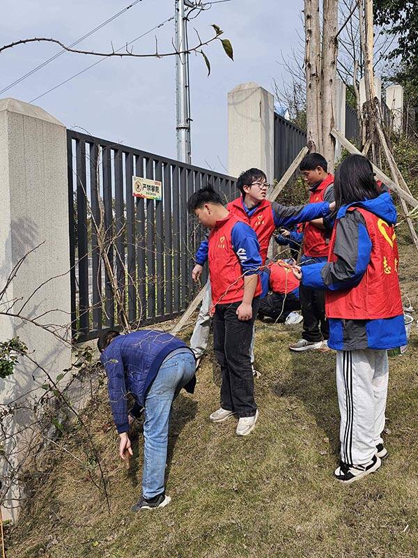 ”播种绿色 守护未来“——2025年植树节活动